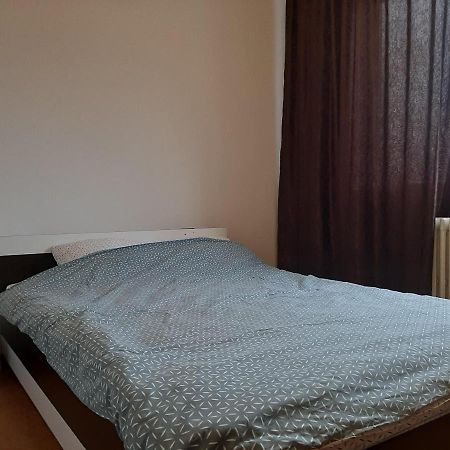 Ultracentral Apartment Bulevard Regele Mihai Nr 10, Sc A Ap 16 Тимишоара Экстерьер фото